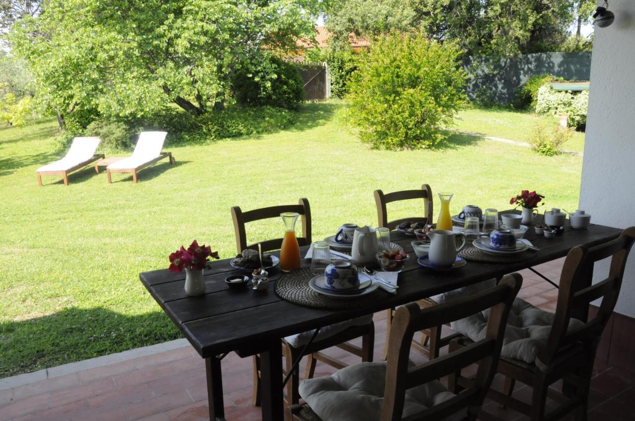 B&B Casa Soresina Offagna Bagian luar foto